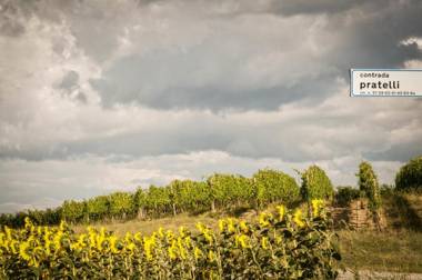 Vittoria Il Graditempo Country House