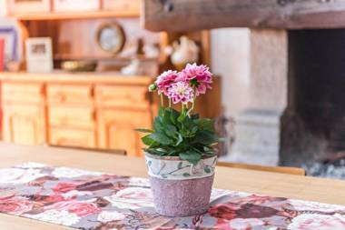 Baita Rustica immersa nel verde