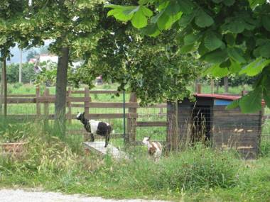 Agriturismo La Tilia