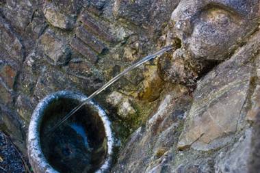 Fattoria di Camporomano