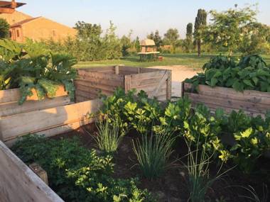 La Foresteria di Borgogelsi Apartments