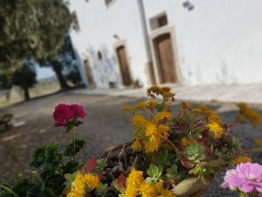 Agriturismo Masseria Mascitelli