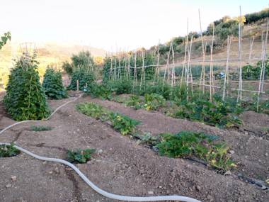 Agriturismo le Campanelle - Sicilia - Cefalù