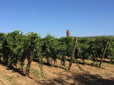 Il Casale degli Ulivi - Agriturismo