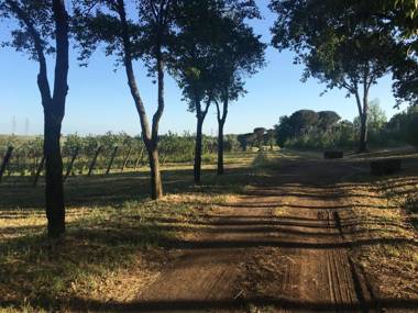 Il Casale degli Ulivi - Agriturismo