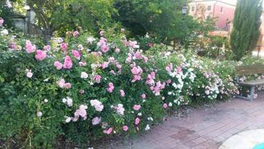 Bordeghina B&B In Farmhouse