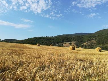 Baciano Azienda Agrituristico Venatoria