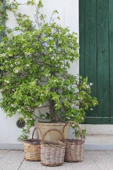 B&B Masseria Cappotto