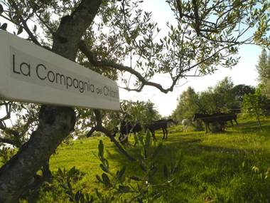 La Compagnia del Chianti