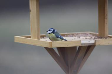 Ospitalita' Rurale Casa Cani