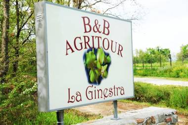 La Ginestra