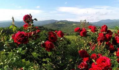 La Casa Di Nonna Lucia