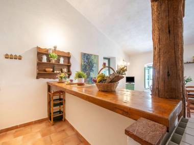 Charming Apartment in Collesalvetti with Garden