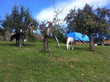 Rose e Cioccolato B&B