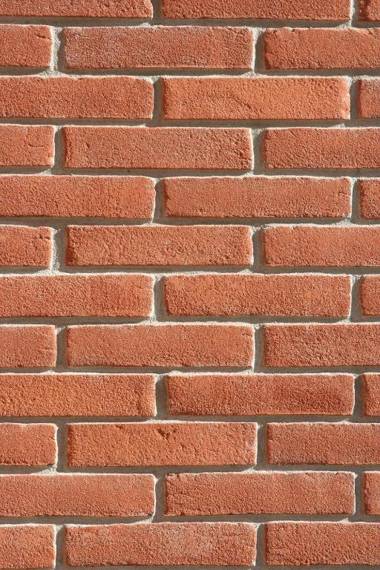 Agriturismo Altana Del Motto Rosso