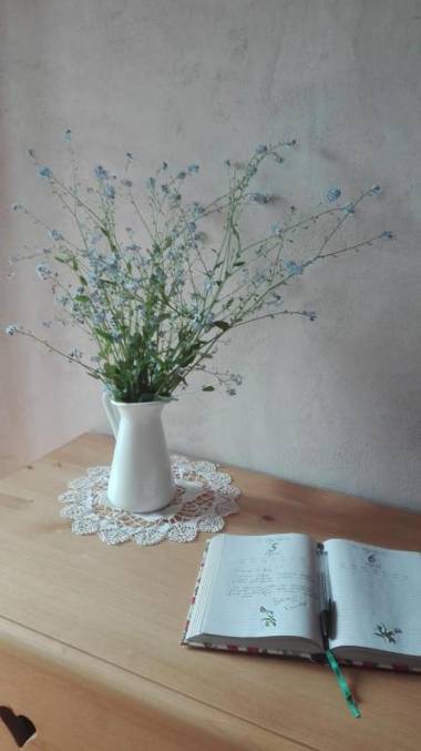 Agriturismo il posto delle fragole