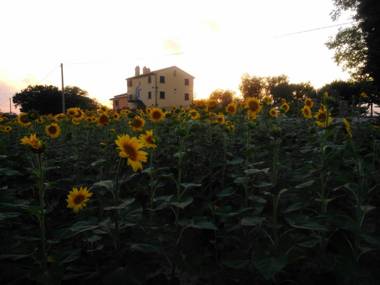 Casa Vacanze Angelica