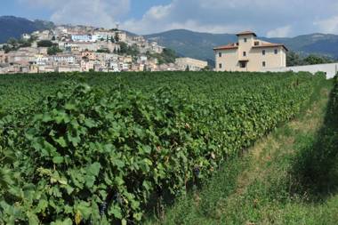 Cincinnato Wine Resort