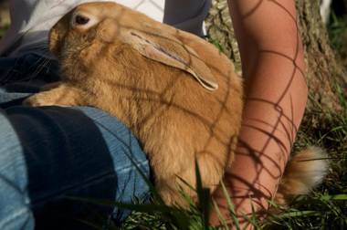 Agriturismo Fiorella