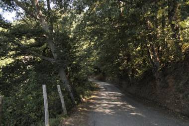 Case Vacanza S. Nicola