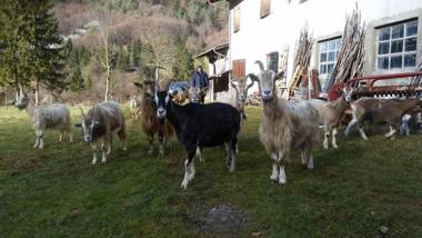 Agriturismo al Marter