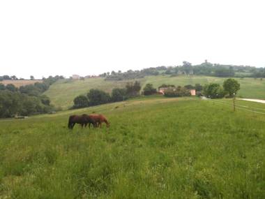 Agriturismo Casale il Gallo Bianco
