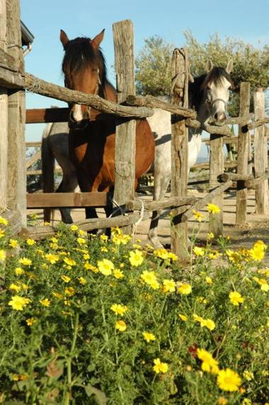 Agriturismo Baglio San Nicola