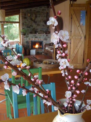 Azienda Agricola Il Querceto