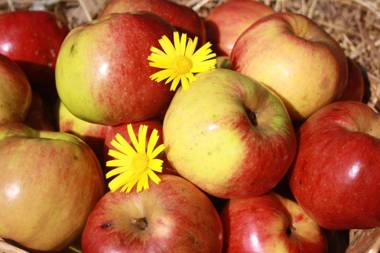 Albergo Diffuso Faller