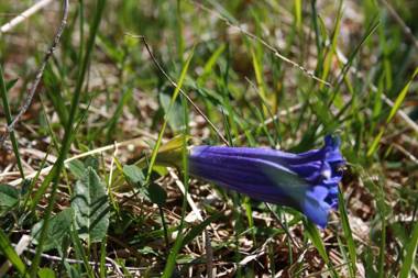 Albergo Diffuso Faller
