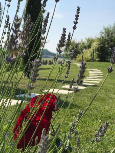 NaturalMente Wine Resort