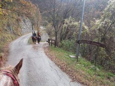 Agriturismo Cà Sonino