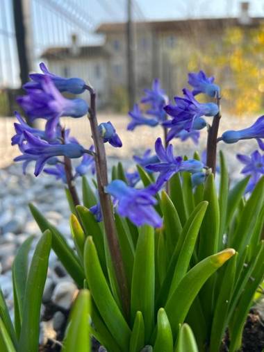 Atmosfere Charme & Country