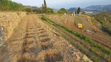 Agriturismo Sant'Anna