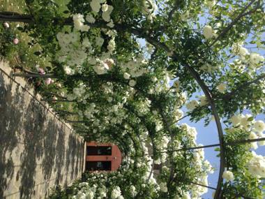 Agriturismo Casale Le Selvette