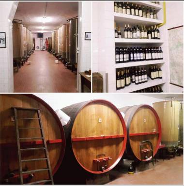 Wine Dreams Holiday Home