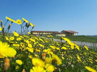 Wine Dreams Holiday Home