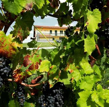 Wine Dreams Holiday Home