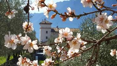 Residence La Colombera