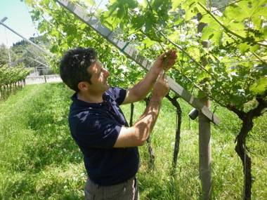 Residence La Colombera