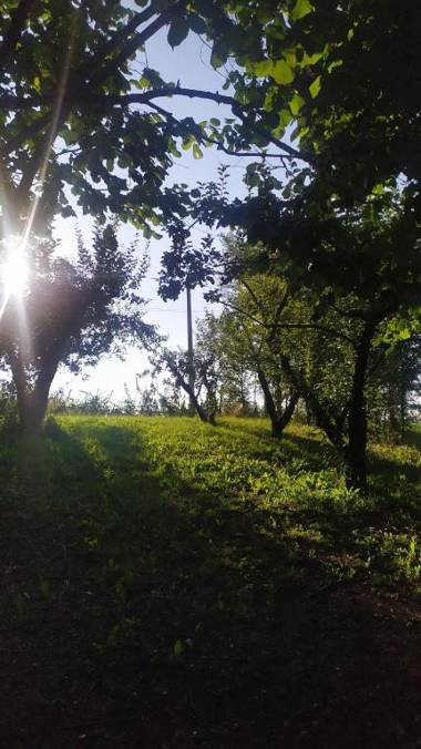 B&B Naturin - Cascina Colombaro