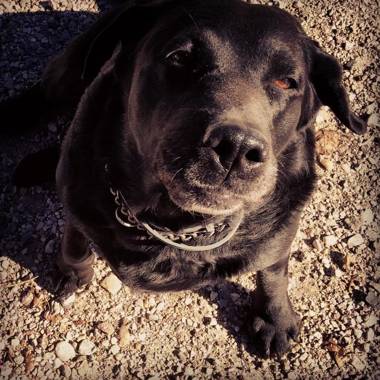 agriturismo le gazze