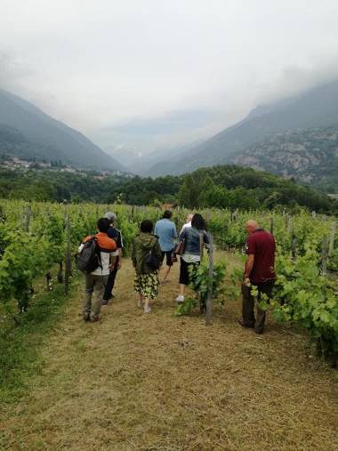 Affittacamere Al Cantoun