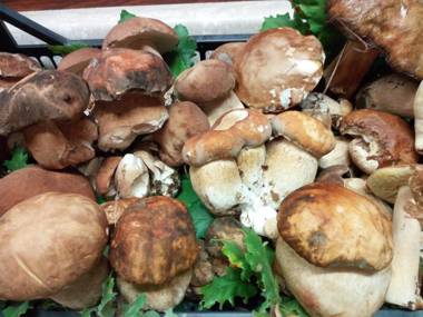 Salisù Country House