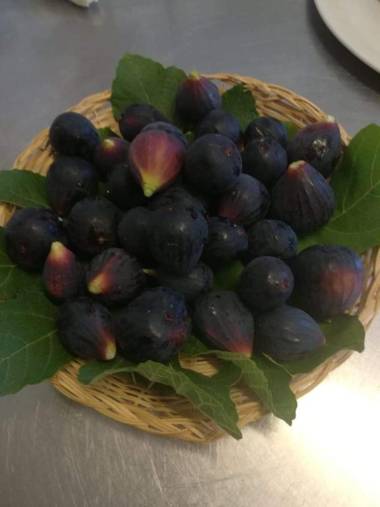 Valle Maira Agriturismo nel Parco dei Nebrodi