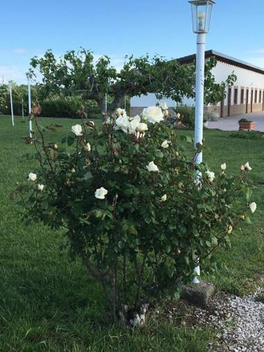 LA MASSARÌA agriresort