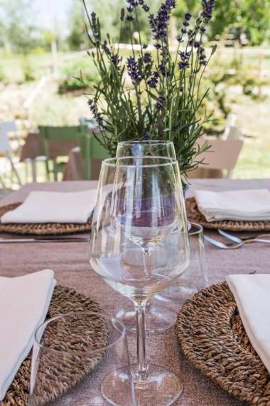 La Collina Degli Ulivi