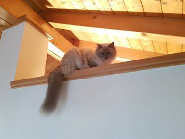 La Casa Del Gelsomino