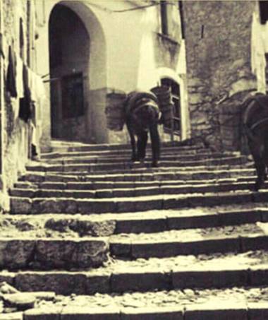 One bedroom appartement with city view balcony and wifi at Arce