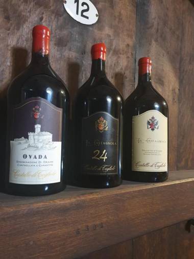 Castello di Tagliolo Wine Resort